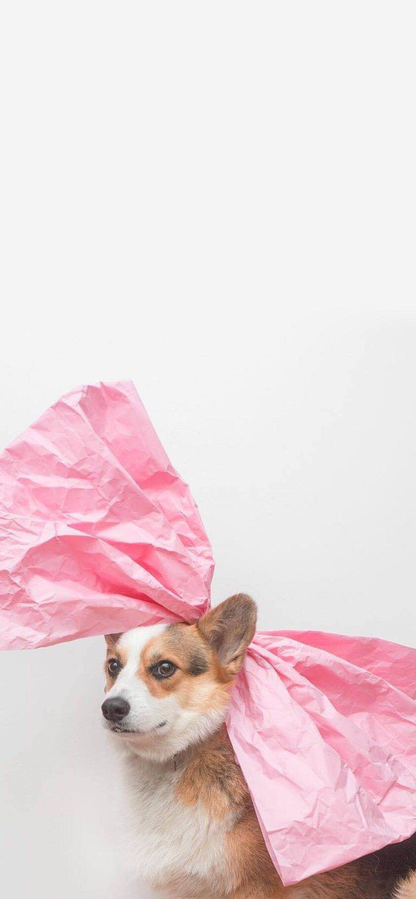 清新简洁唯美风景手机壁纸