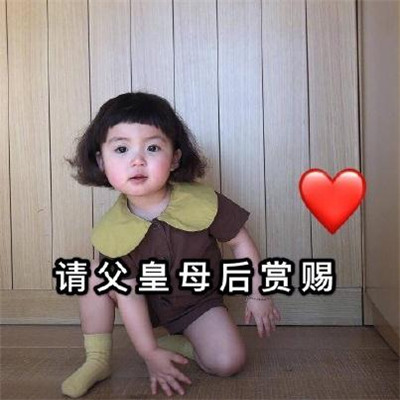 2019微信最新月底讨要生活费微信表情包合集下载