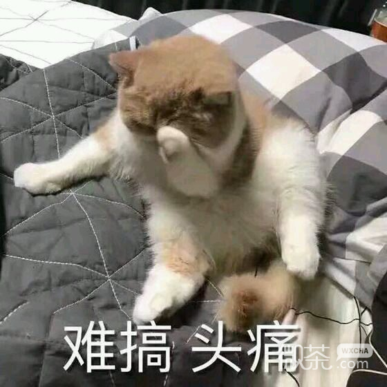 微信近期斗图恶搞表情包2019/6/20