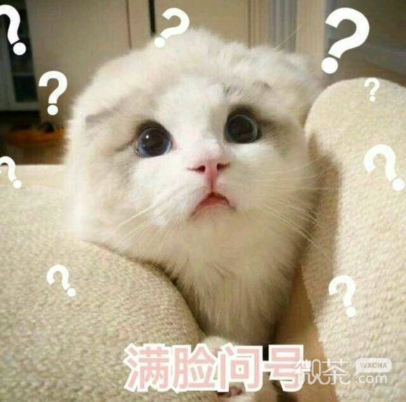 俏皮可爱的套路狗蘑菇头微信表情包合集下载