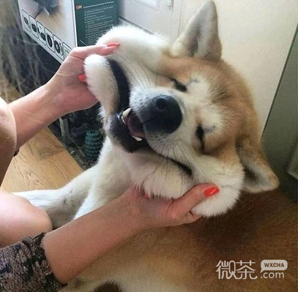 忍住不哭微信恶搞群聊杂图表情包