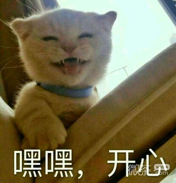 忍住不哭微信恶搞群聊杂图表情包