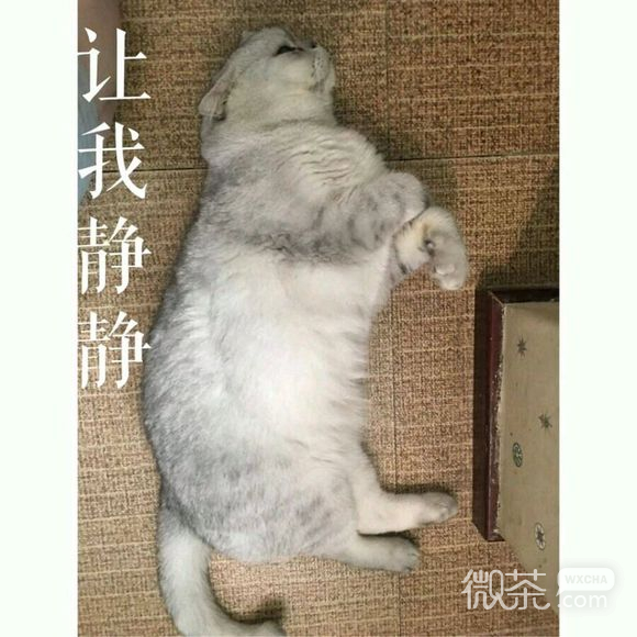 忍住不哭微信恶搞群聊杂图表情包