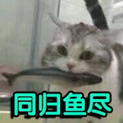 紧张恶搞群聊杂图微信表情包