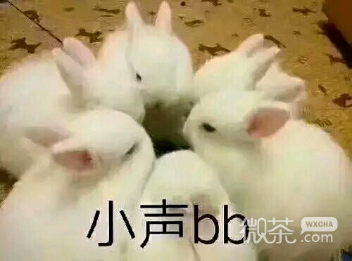 紧张恶搞群聊杂图微信表情包