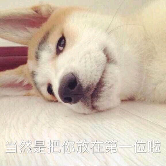 噘嘴微信恶搞群聊杂图表情包