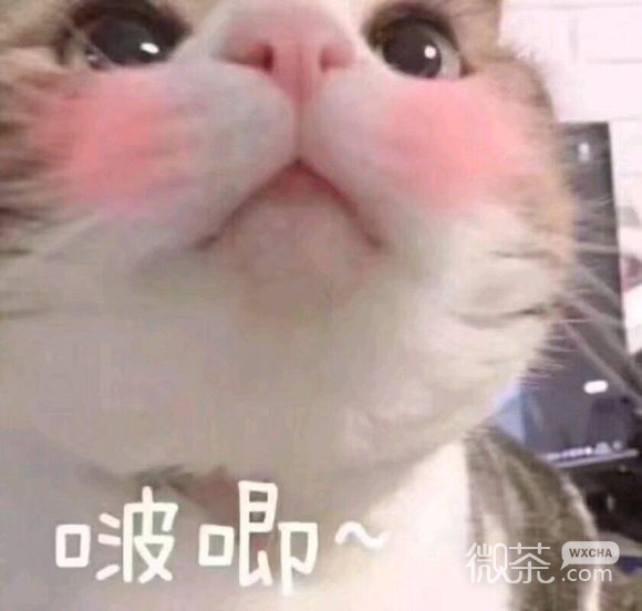 紧张恶搞群聊杂图微信表情包