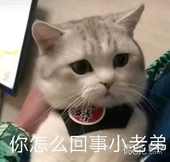 俏皮可爱的套路狗蘑菇头微信表情包合集下载