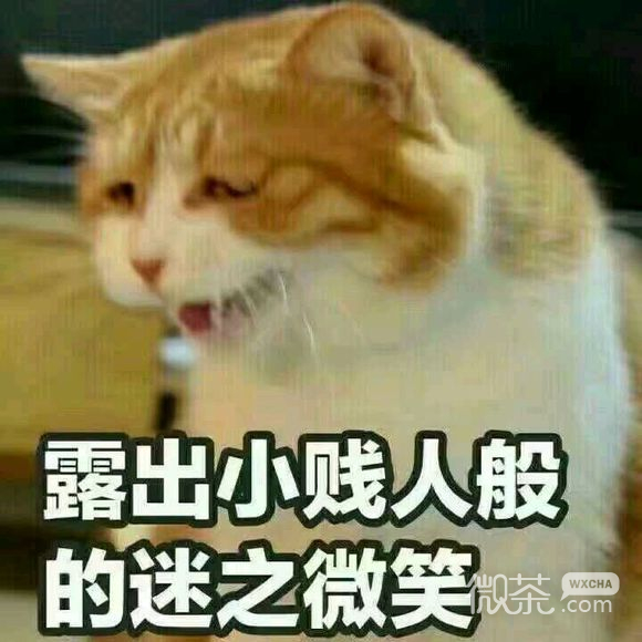 忍住不哭微信恶搞群聊杂图表情包