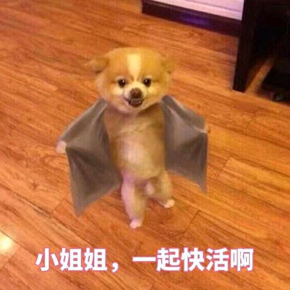 噘嘴微信恶搞群聊杂图表情包