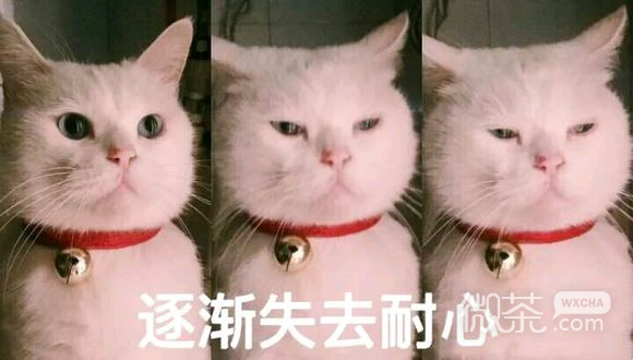 紧张恶搞群聊杂图微信表情包