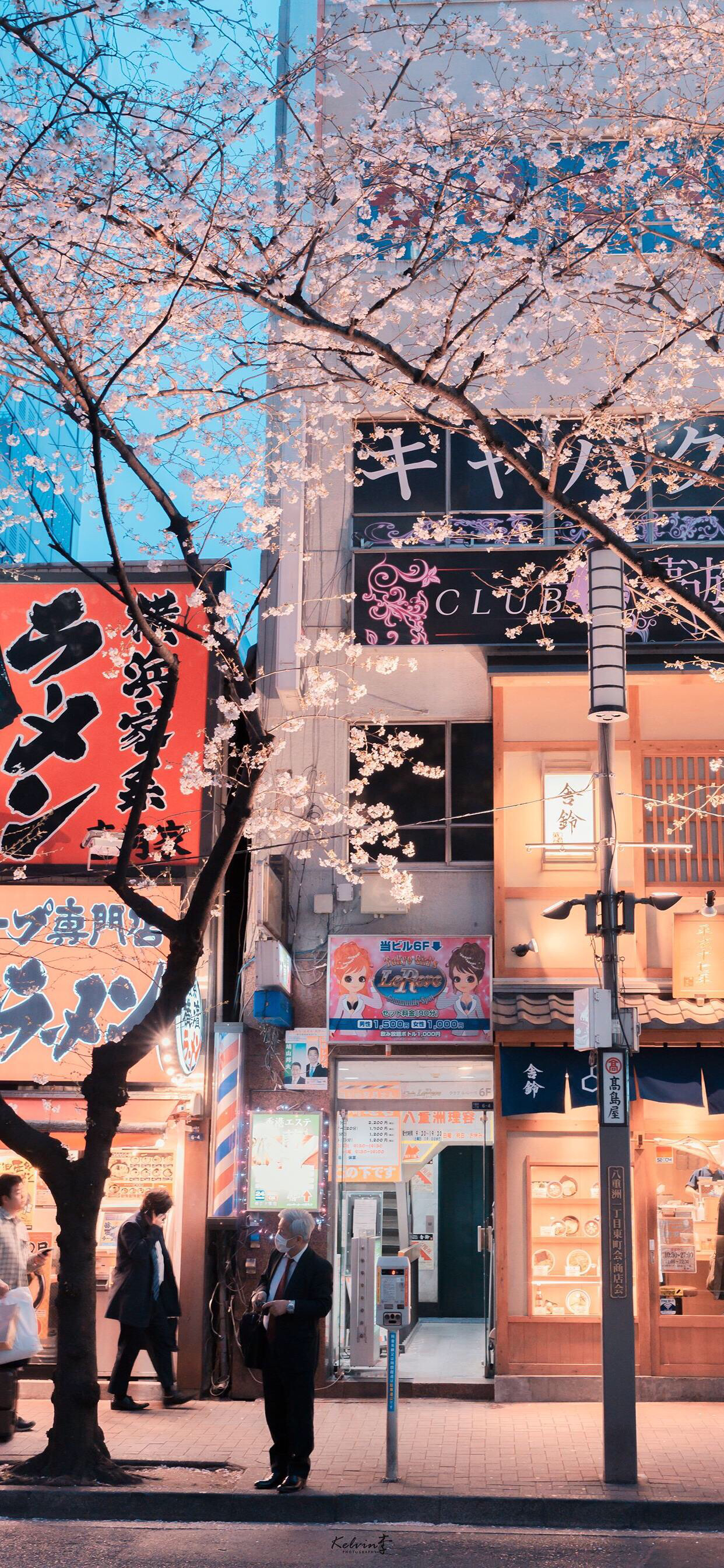 清新简洁唯美风景手机壁纸