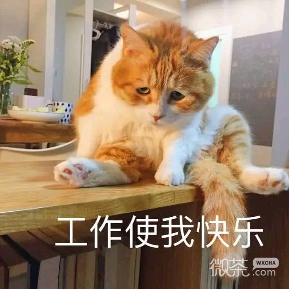 紧张恶搞群聊杂图微信表情包