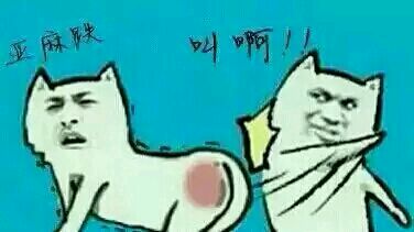 猥琐带字的微信爆笑恶搞金馆长表情包合集下载