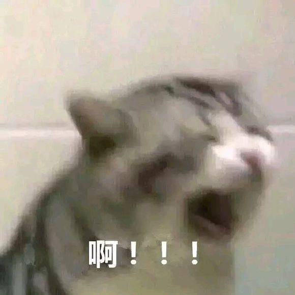 微信近期斗图恶搞表情包2019/6/21