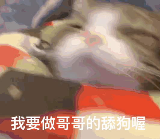 微信近期斗图恶搞表情包2019/6/21