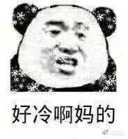 哦微信恶搞群聊杂图表情包