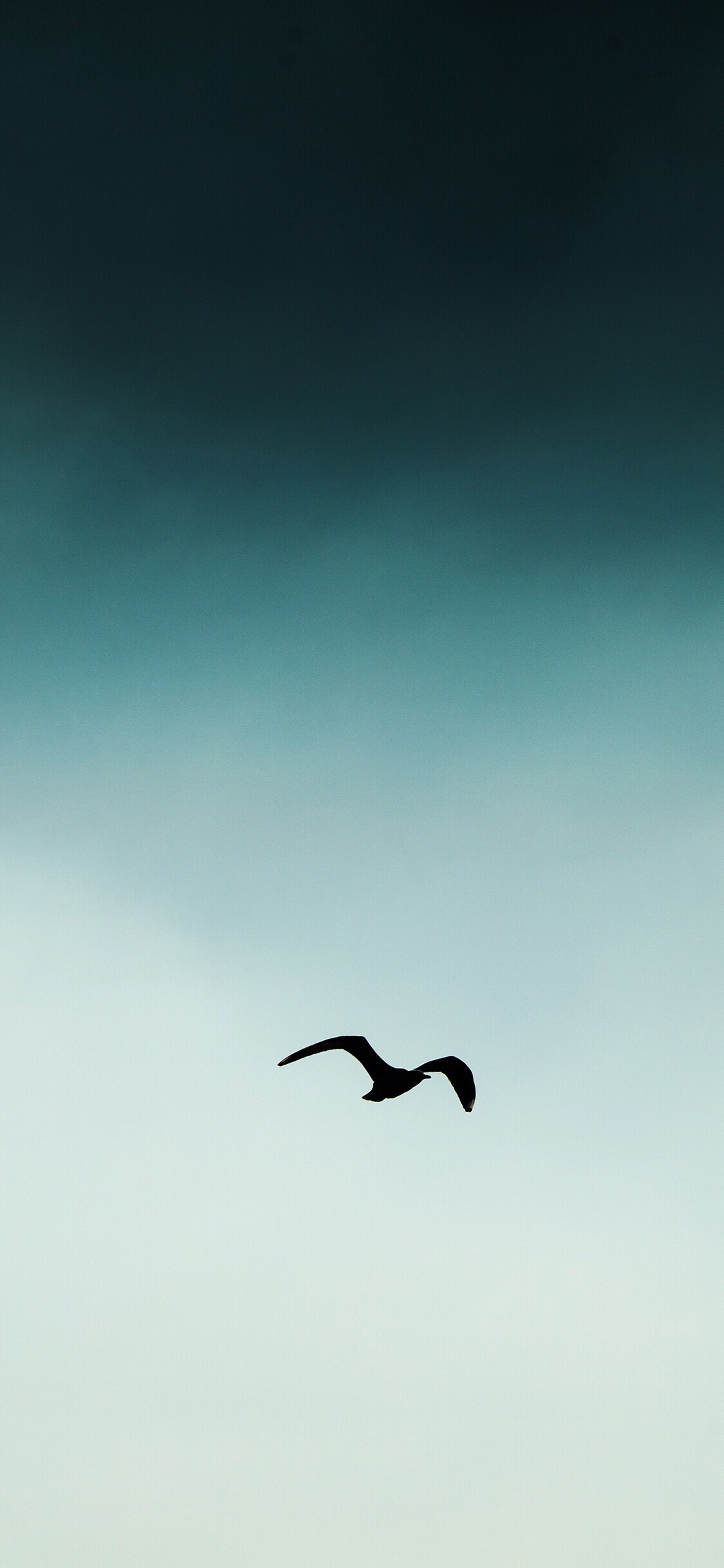 简约好看粉嫩手机壁纸