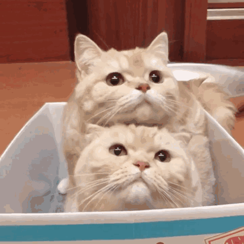 微信近期斗图恶搞表情包2019/6/21