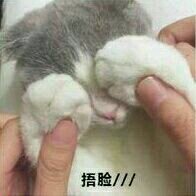 抱走微信恶搞表情包