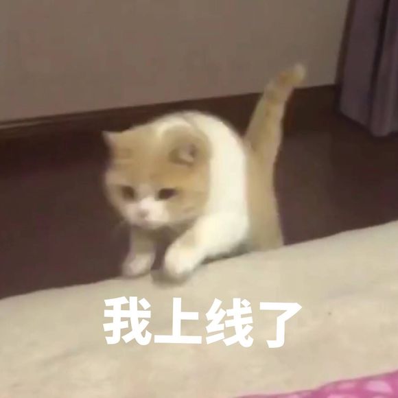 微信近期斗图恶搞表情包2019/6/24