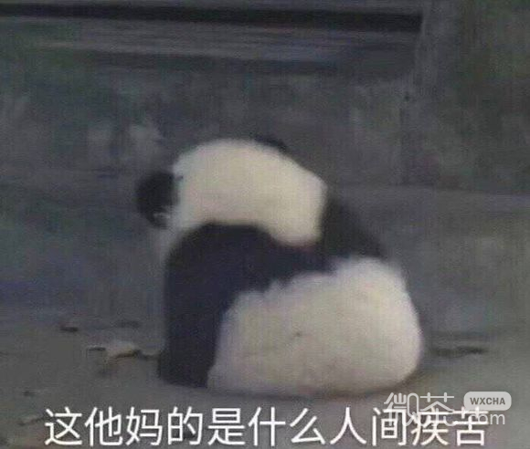 我不哭微信恶搞群聊杂图表情包