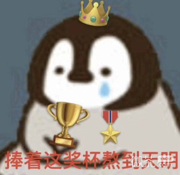 我不哭微信恶搞群聊杂图表情包