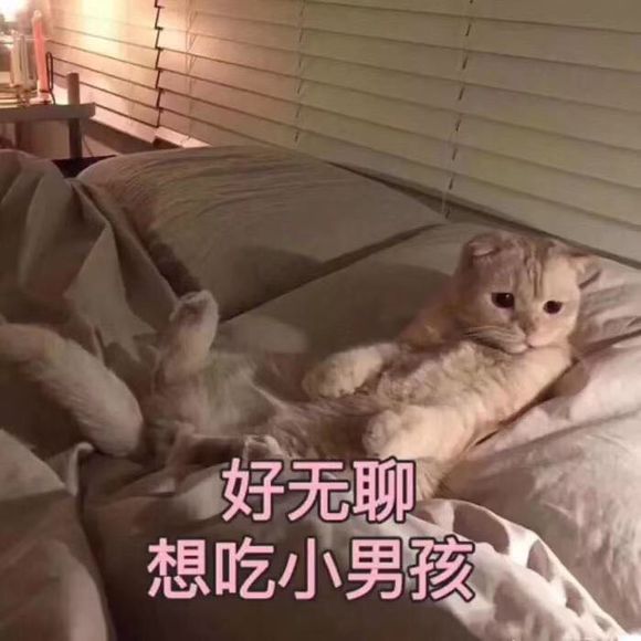 我不哭微信恶搞群聊杂图表情包