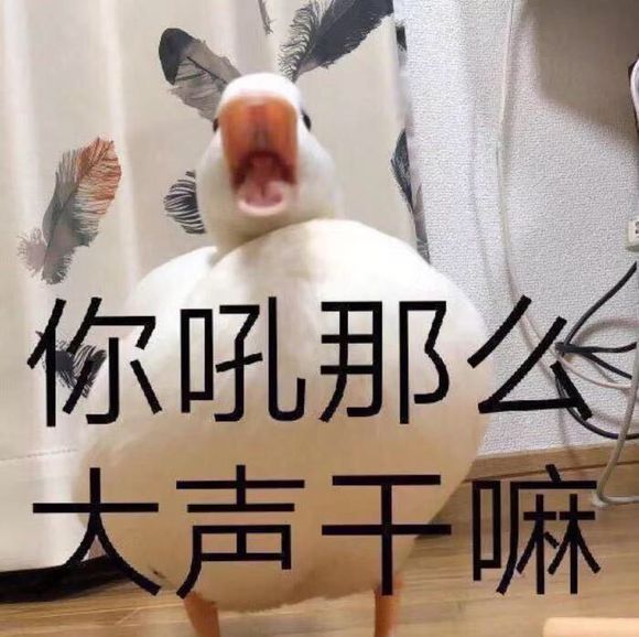 略略略微信恶搞群聊杂图表情包