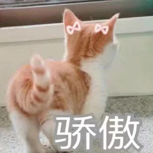 略略略微信恶搞群聊杂图表情包