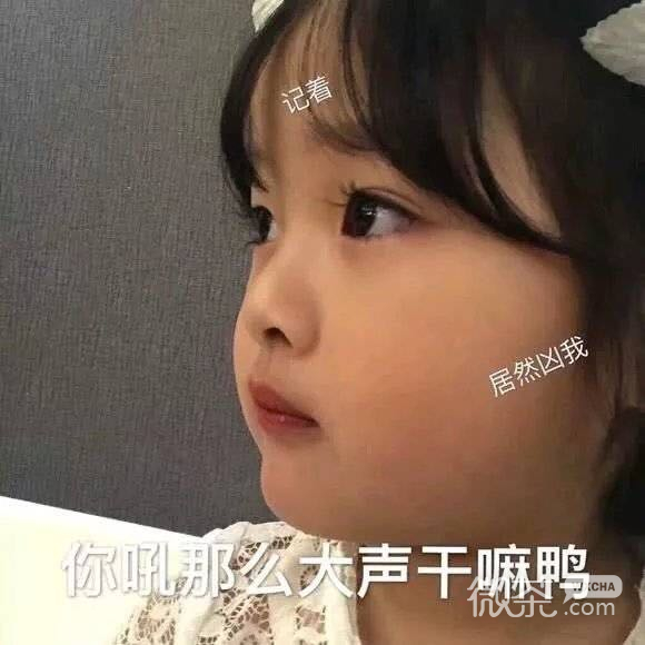 我不哭微信恶搞群聊杂图表情包