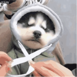 我不哭微信恶搞群聊杂图表情包