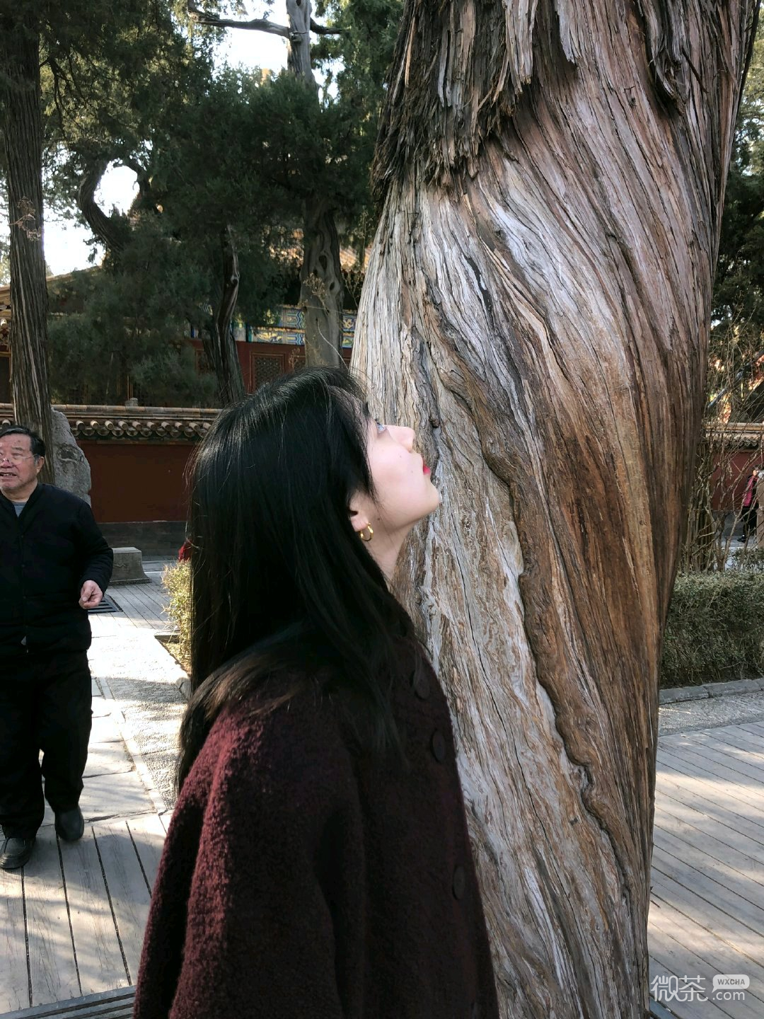 微信时尚清新阳光女头