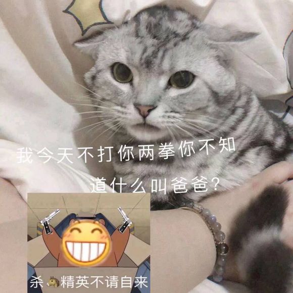 微信近期斗图恶搞表情包2019/6/24