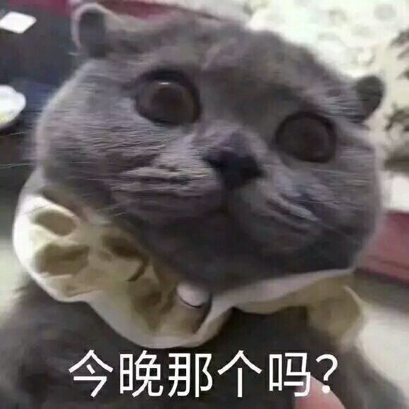 尬住微信恶搞群聊杂图表情包