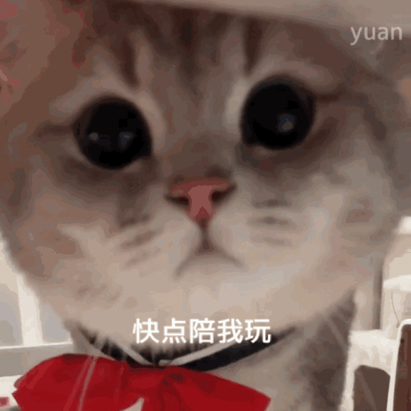 微信近期斗图恶搞表情包2019/6/24