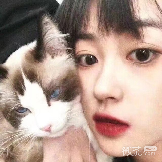 微信文艺小清新时尚女头