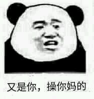 微信近期斗图恶搞表情包2019/6/25（二）