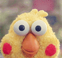 微信近期斗图恶搞表情包2019/6/25(二)