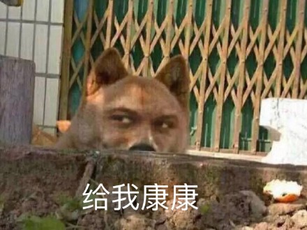 微信近期斗图恶搞表情包2019/6/25（二）