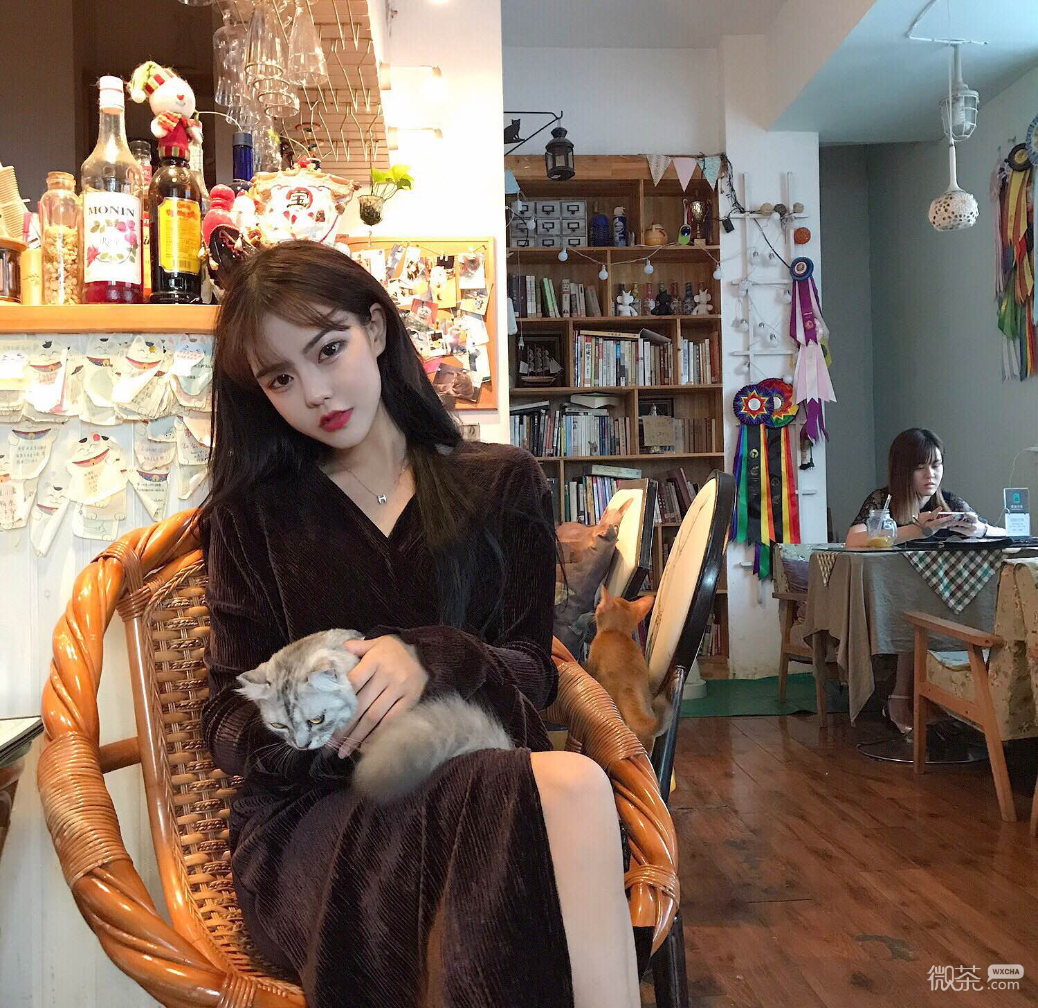 微信清新阳光文艺森系女头