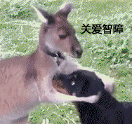 我美吗微信恶搞群聊杂图表情包