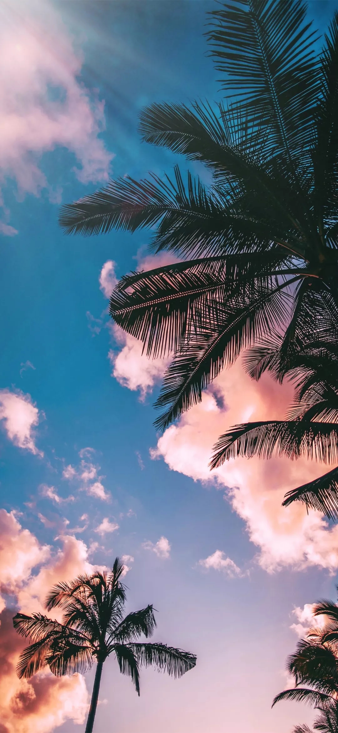 及时行乐手机壁纸