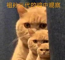 我美吗微信恶搞群聊杂图表情包