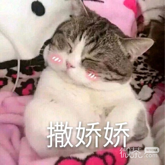 嘟嘴微信恶搞群聊杂图表情包