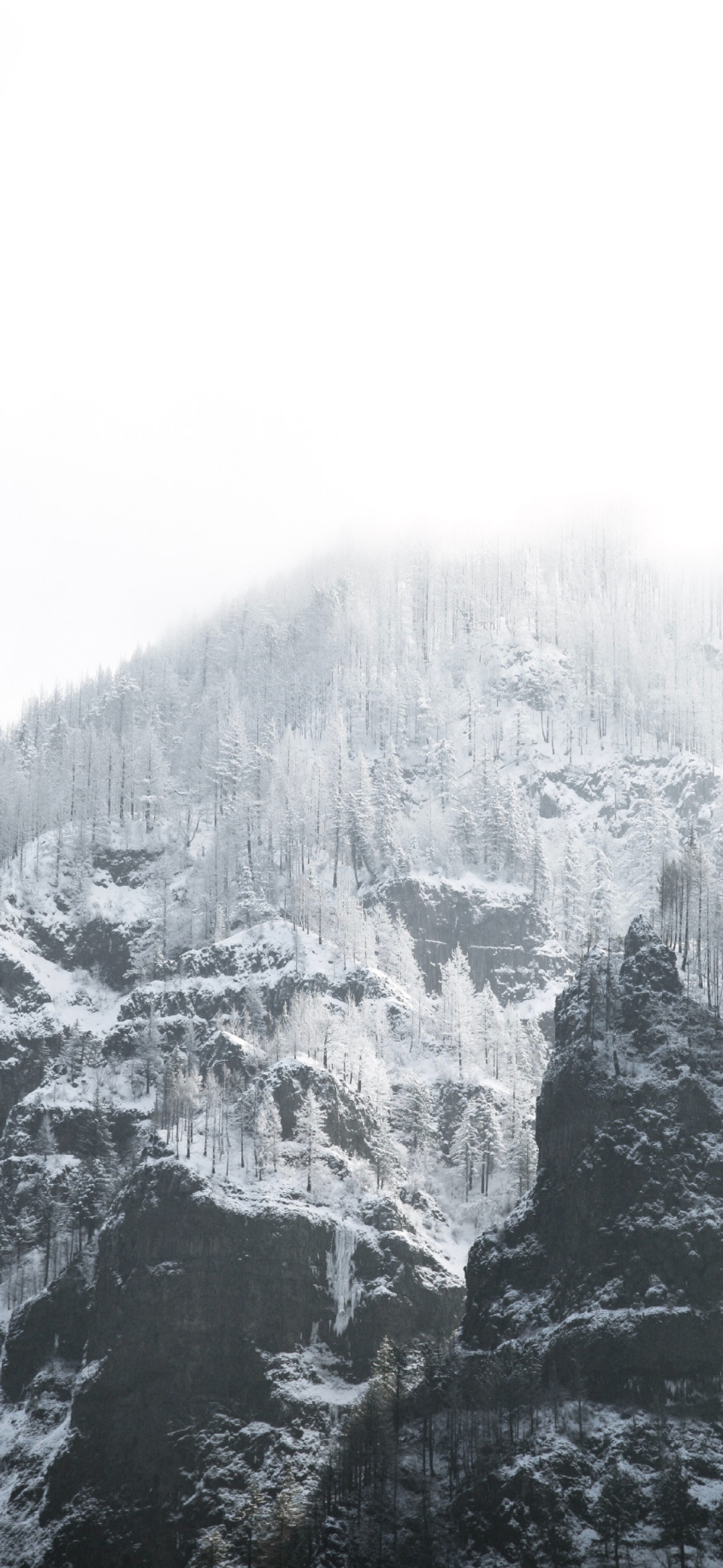 及时行乐手机壁纸