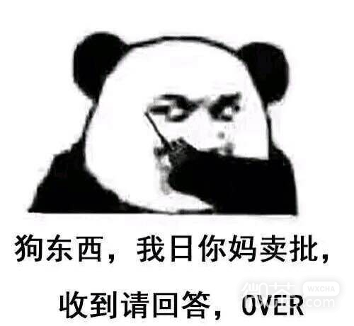 我美吗微信恶搞群聊杂图表情包