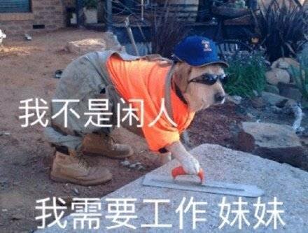 夸张哦恶搞群聊杂图微信表情包