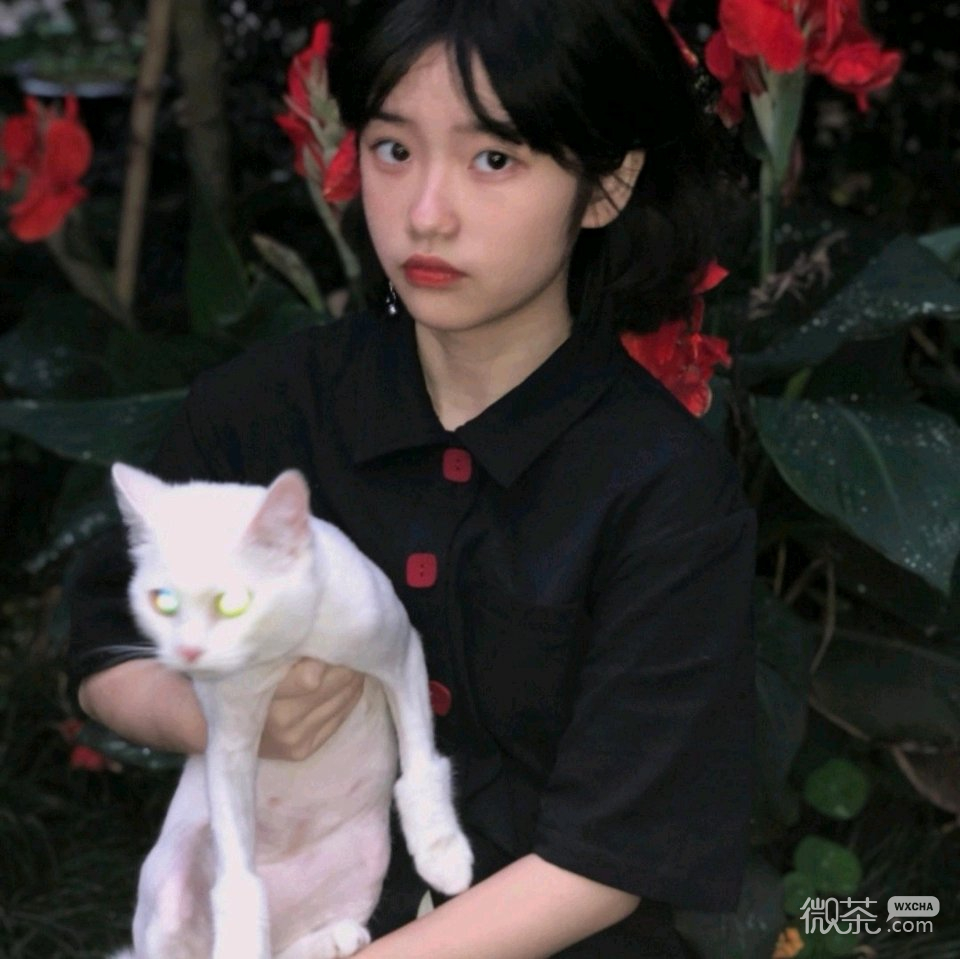 微信霸气文艺气质女头