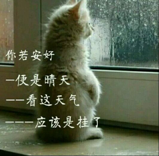 我美吗微信恶搞群聊杂图表情包